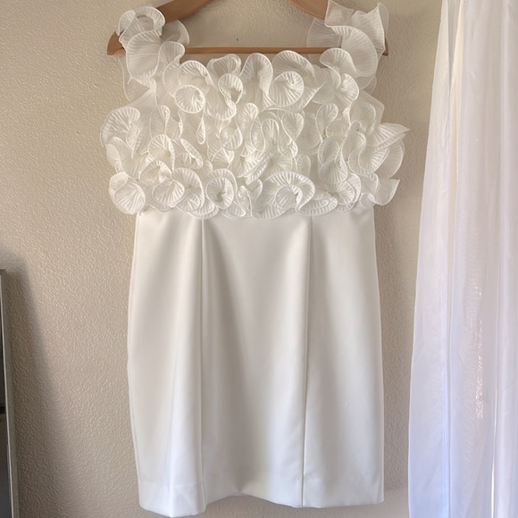 ZARA PLEATED RUFFLES BLOGGER  FAVORITES MINI DRESS SIZE LARGE - Picture 7 of 12